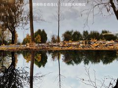 -北京西山国家森林公园