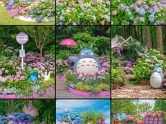 -上海滨江森林公园