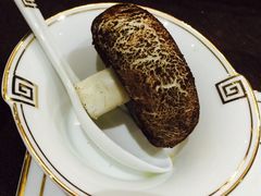 -半岛公馆(淞兴西路店)