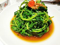 南京菊花脑-民国红公馆·秦淮八艳(夫子庙店)