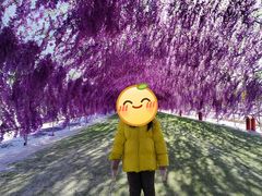 -绿野森林乐园冰雪季