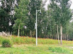 -野鸭湖国家湿地公园