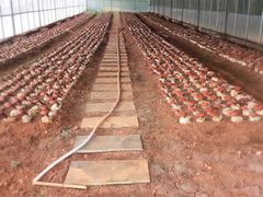 -陶祖圣境风景区