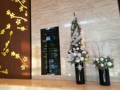 -上海龙之梦万丽酒店