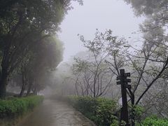 -南山植物园