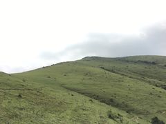 -大姆山草场