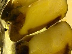 -良运大酒店餐厅