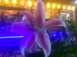 -BM SALON