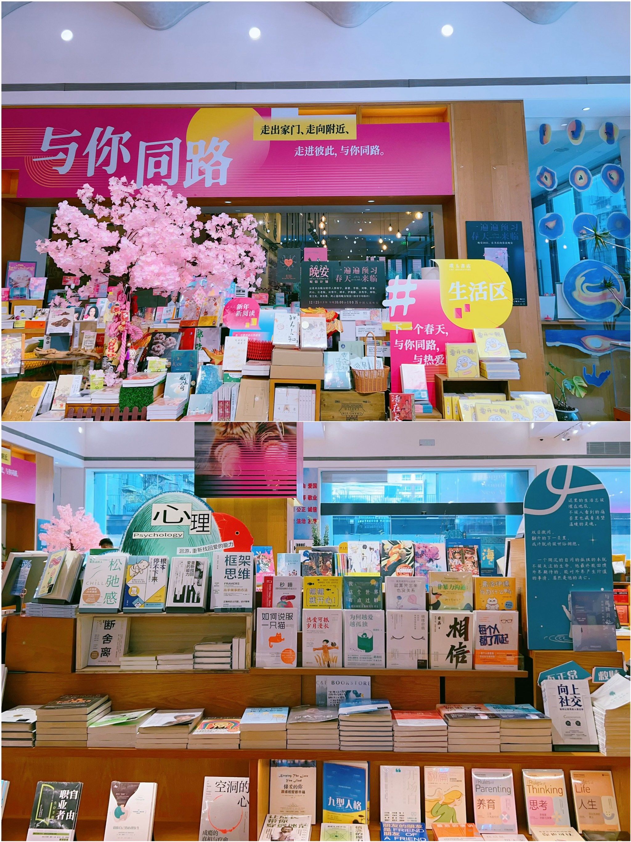 0元玩转这座城市 璞玉书店值得收藏的的一家宝