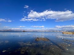 -洱海月湿地公园
