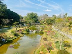 -东莞植物园