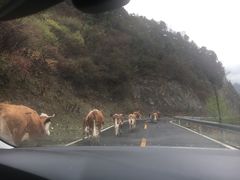 -硗碛藏寨·神木垒景区