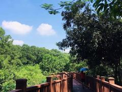 -梧桐山风景名胜区