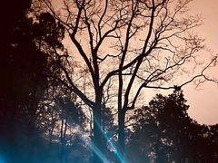 -泰山风景名胜区