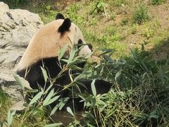 -杭州野生动物世界