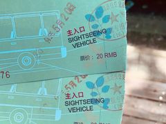 -合肥滨湖国家森林公园