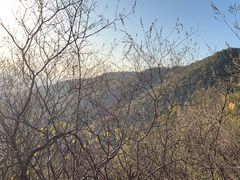 -北京西山国家森林公园