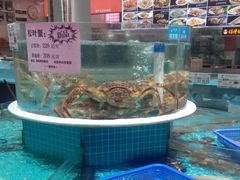 -皮记海鲜1995(寮步店)
