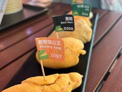 -榴莲BB 四季果园