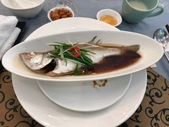 -十八棵（老龙井）御茶园(老龙井店)