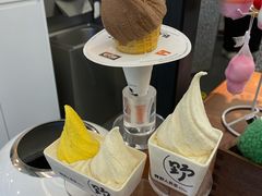 -野人先生Gelato(上海长宁龙之梦店)