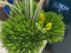 -上上席川菜(凯德乐峰广场店)