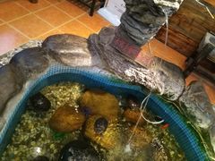 -御膳粥·牛乳粥底火锅·地道顺德菜(容桂店)