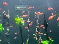 -成都浩海立方海洋公园