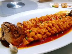 松鼠桂鱼-乾园(天河城店)