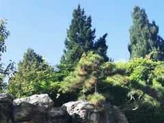 -团结湖公园
