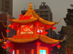 -越秀西湖花市(广州城市广场花卉店)