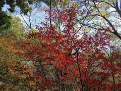 -乌山风景区