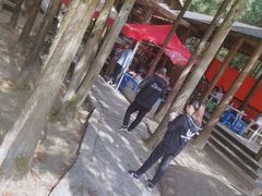 -玉苍山国家森林公园