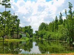 -溱湖国家湿地公园