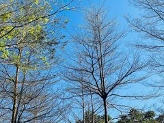 -萨莉亚意式餐厅(深南茂业店)