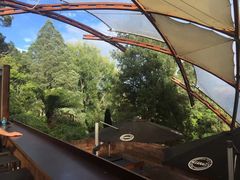 -怀托摩萤火虫洞