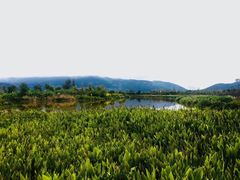 -西昌邛海湿地