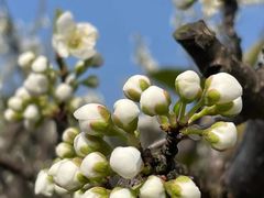 -梁鸿国家湿地公园