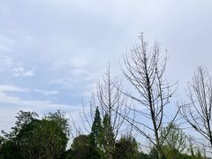 -云里小坐·海泉湾·团建·宴席·下午茶(金堂海泉湾店)