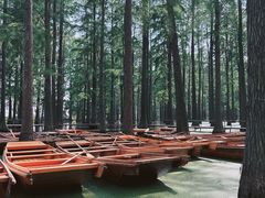 -渌洋湖湿地公园