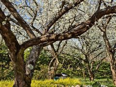 -名花谷生态庄园