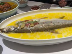 -森隆饭庄(崇文门新世界百货店)