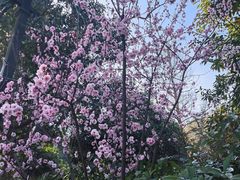 -杭州上天竺法喜讲寺