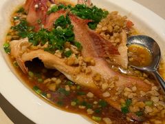 -皇朝尊会(龙之梦大酒店)