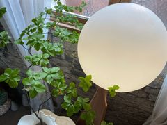-Jo's Garden