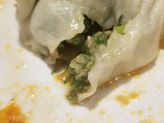 茴香水饺-宝源饺子(麦子店街店)