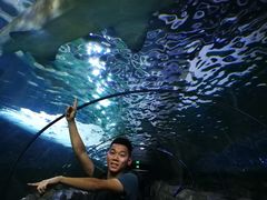 -悉尼海洋生物水族馆