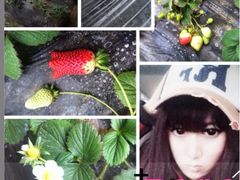 iphone_upload_pic-杨柳青园艺科技博览园