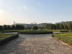 -南沙蒲洲花园