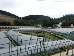 -普迪生态园